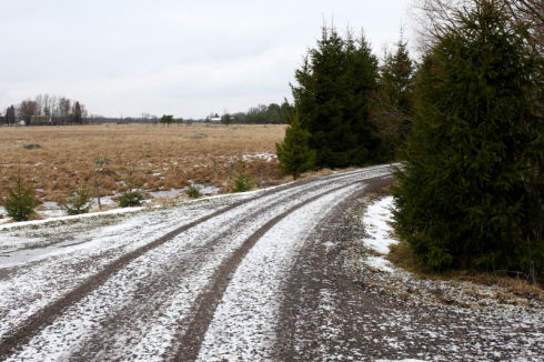 1 Estonian winter at Matsalu Photo by Olev Mihkelmaa