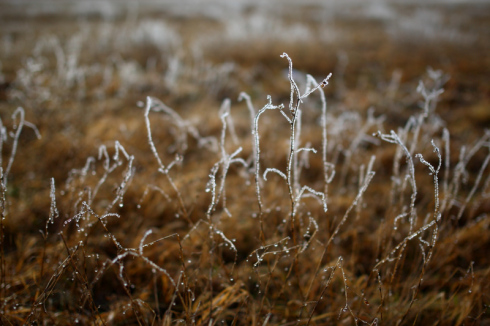 5 Estonian winter at Matsalu Photo by Olev Mihkelmaa