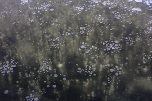 6 Estonian winter at Matsalu Photo by Olev Mihkelmaa